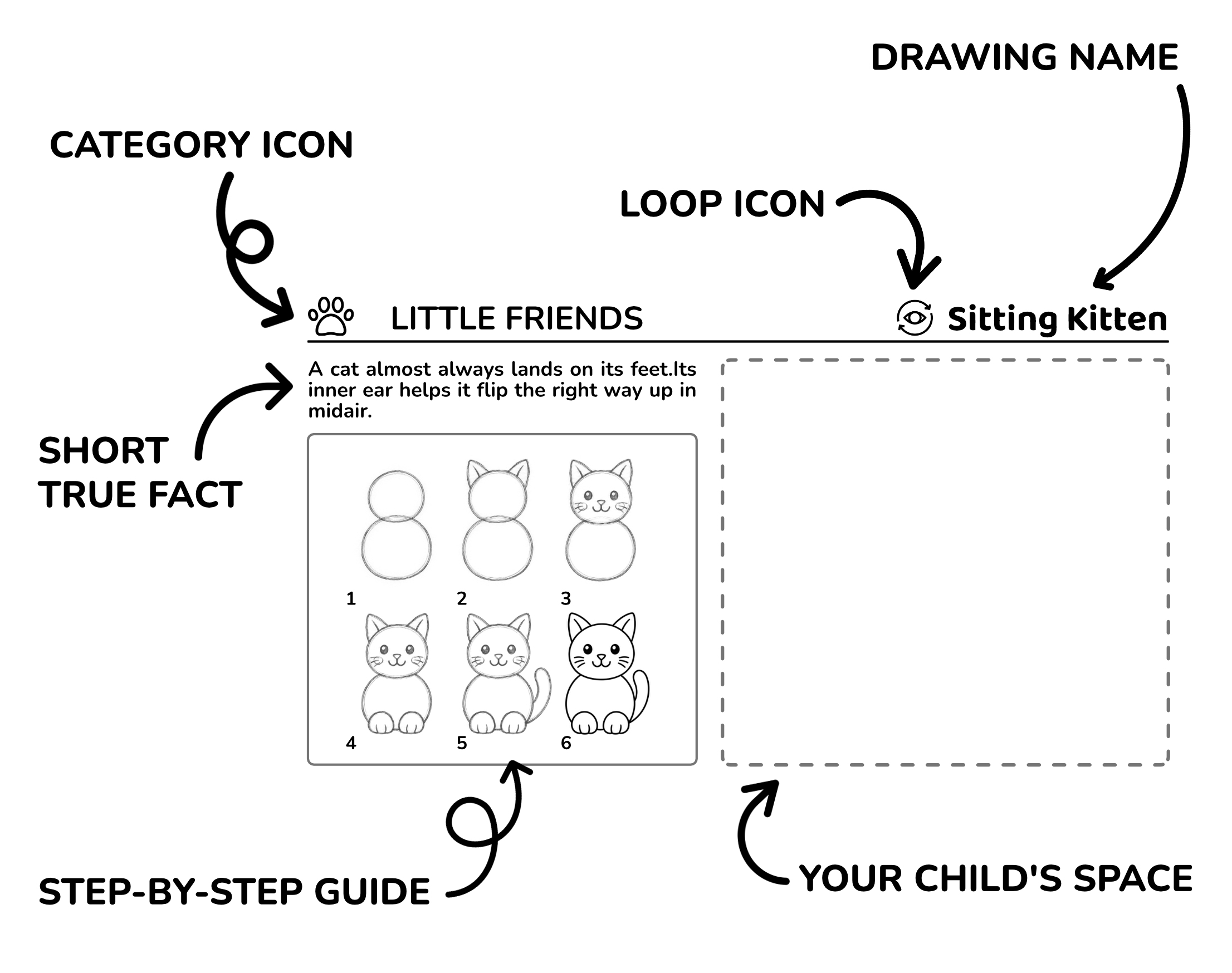 Diagram explaining a drawing lesson with category icon, fact, step-by-step guide, loop icon and drawing space
